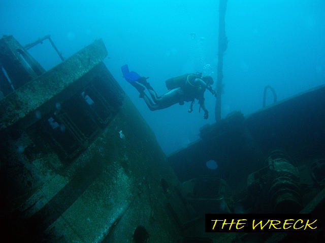 Diving Tenerife
