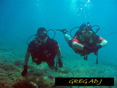 Diving Tenerife