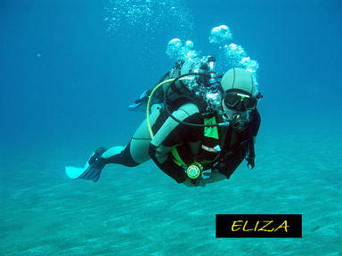 Diving Tenerife