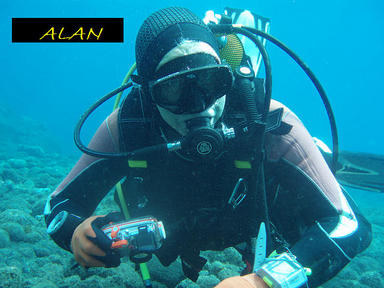 Divin El Medano