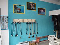 Diving Tenerife