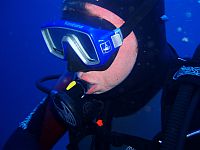 Tenerife Diving