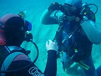 PADI Diving Tenerife