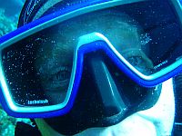 PADI Courses Tenerife