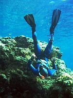 Snorkelling Tenerife