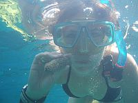 Snorkelling Tenerife