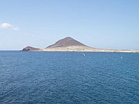 Diving Tenerife
