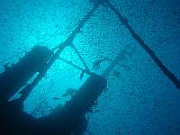 Tenerife Diving